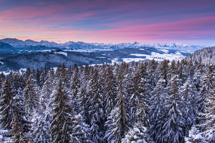 Emmental Wald Alpen