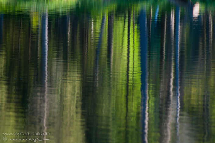 Etang Wasser abstrakt