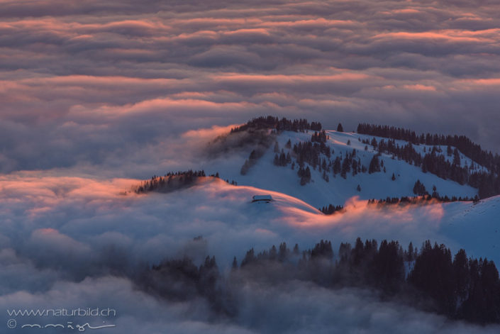 Gurnigel Gantrisch Nebelmeer