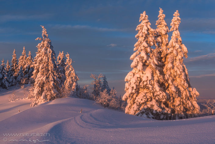 Jura Hügel Winter