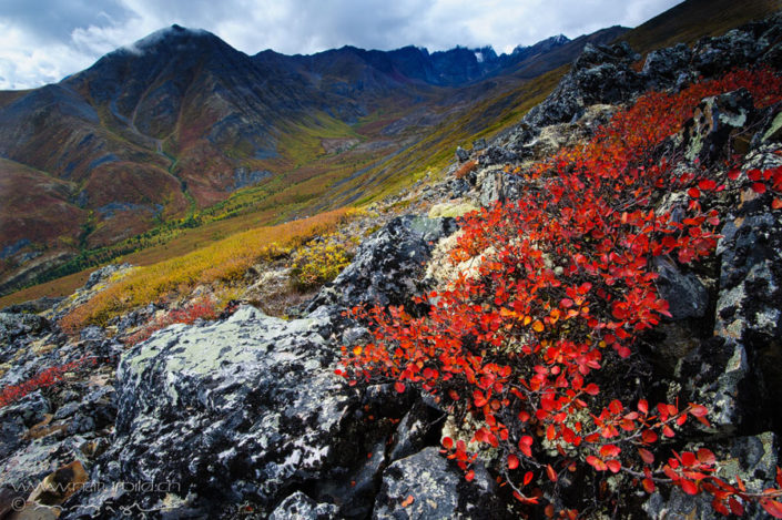 Yukon Canada Berge